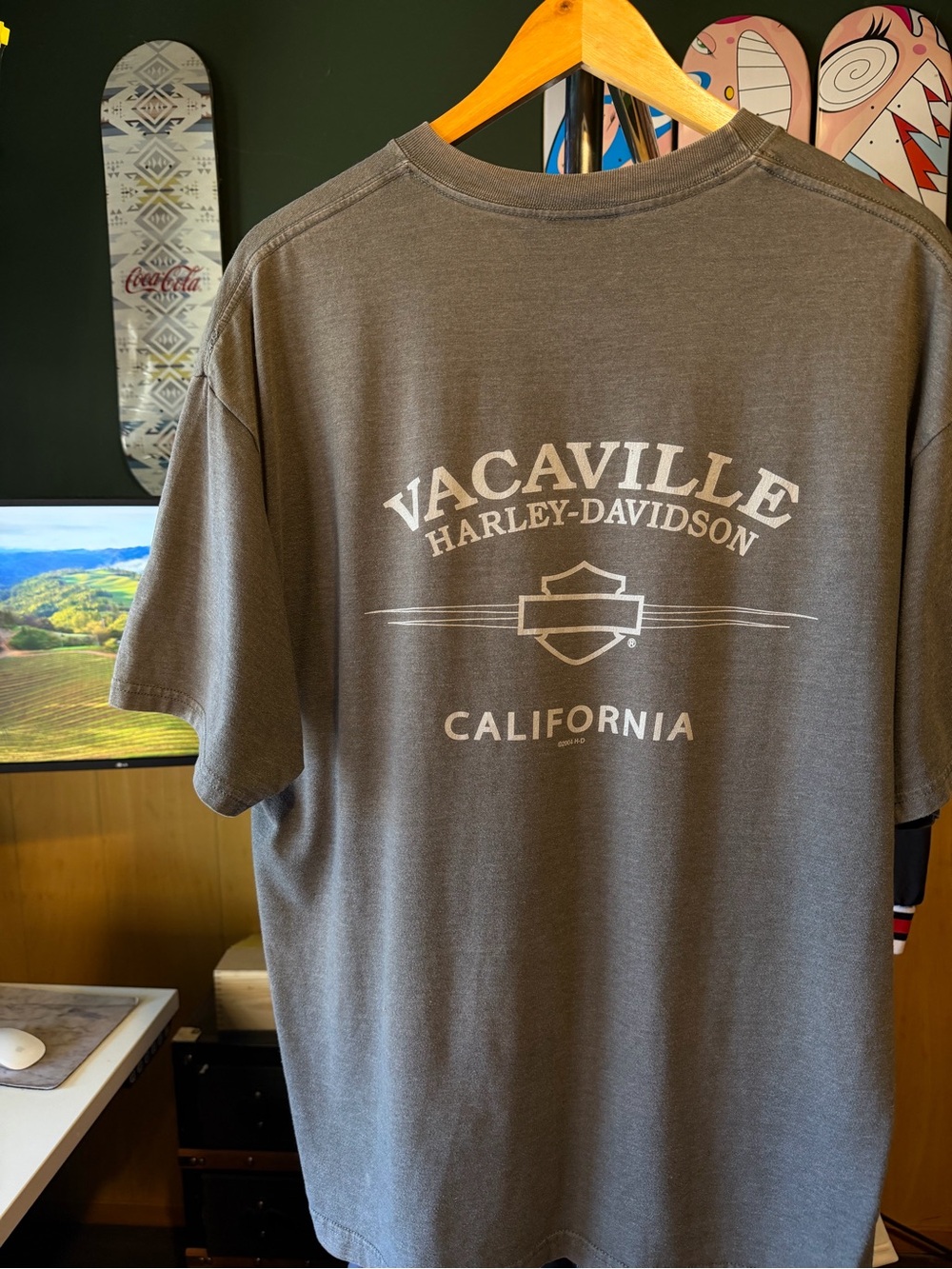 Vintage Harley-Davidson Vacaville California 2004 Men's Gray Skull Graphic Tee